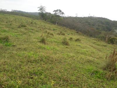 Terreno para Venda, em Cap�o Bonito, bairro Agua Branca