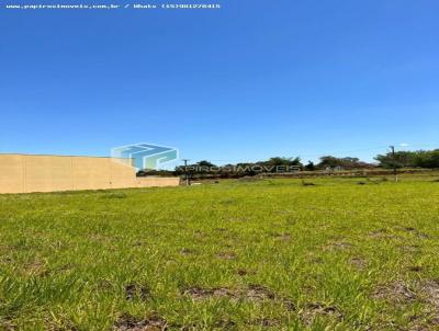 Terreno para Venda, em Tatu�, bairro Loteamento Empresarial Tatu�-I
